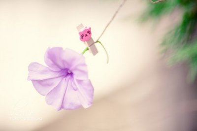 ​描写春天的句子有哪些春天的词语和句子(精选77句)