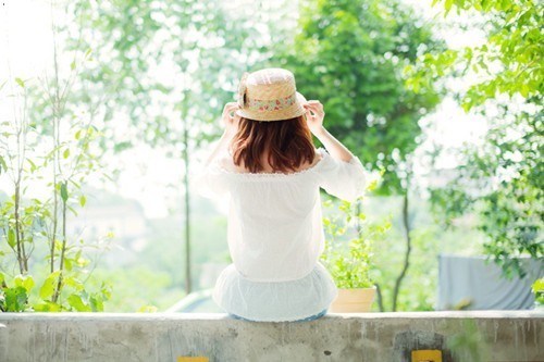 关于描写长寿花的句子(35句)