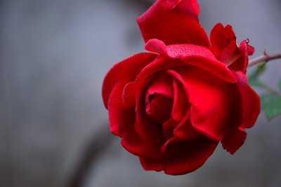​描写自己感受的句子（精选70句）