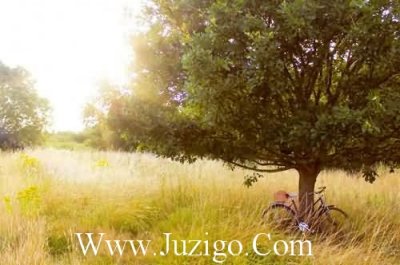 ​最新清明节祭英烈短句大全清明节祭英烈手抄报(精选106句)