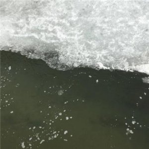 ​适合发朋友圈的句子 精美句子[40句]