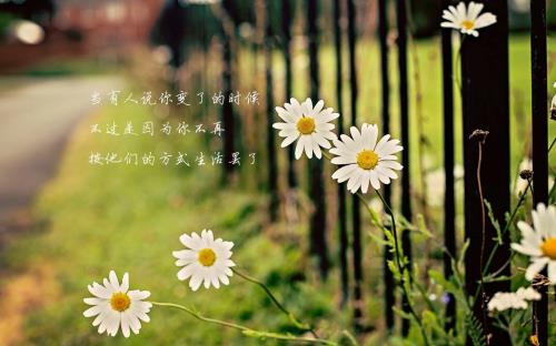 怎样安慰刚失恋的人