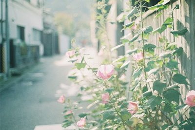 ​日常起居谚语72句