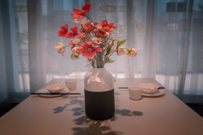 ​蜘蛛在树上爬着改成拟人句 大树像什么拟人句