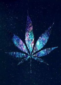 ​qq空间搞笑或雷人的留言