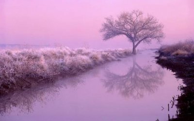 ​qq说说人生感悟 qq空间人生说说带图片