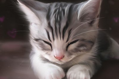 ​大生活台词25句