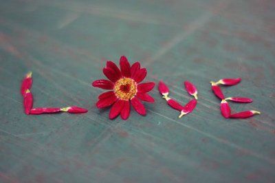 ​红楼梦里著名的歇后语29句