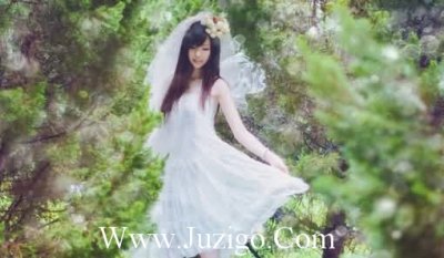 ​苍蝇会蜘蛛歇后语25句