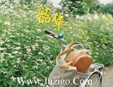 ​生活启示录谚语14句