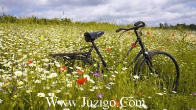 ​高中奋斗励志的好句子大全高一奋斗目标短句(精选85句)