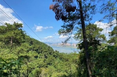 ​朱砂痣白月光经典句子(15句)