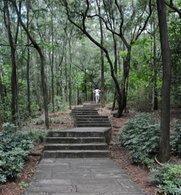 惠州西湖新