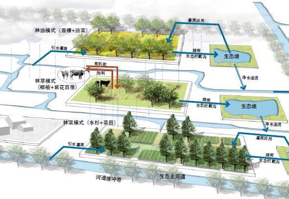 上海浦江郊野公园之奇迹花园
