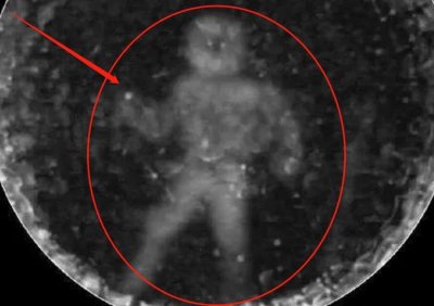 ​为何海豚喜欢亲近人类，专家：看看人类在它们眼里长啥样就知道了