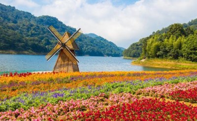 ​欣赏国内最早开放的樱花，南宁石门森林公园等你来