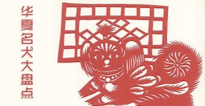 ​炎黄的骄傲——华夏神犬大盘点！