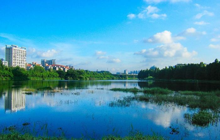 深圳藏在闹市的公园，被称为深圳最美湖泊公园，还免费