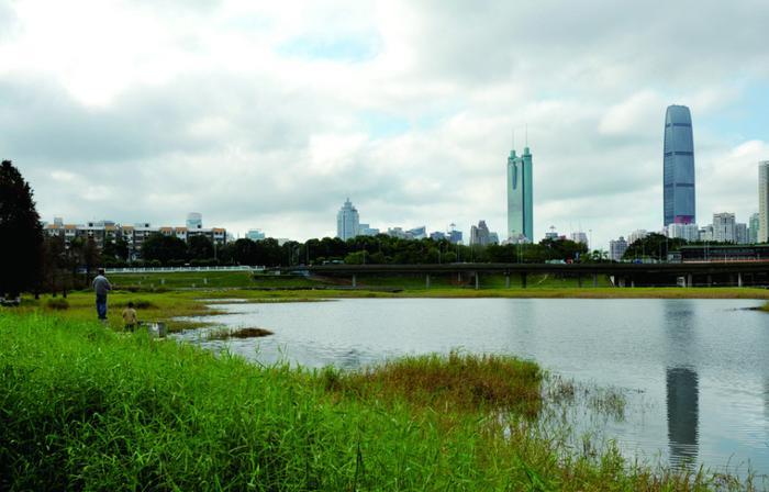 深圳藏在闹市的公园，被称为深圳最美湖泊公园，还免费