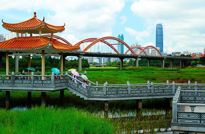 深圳藏在闹市的公园，被称为深圳最美湖泊公园，还免费