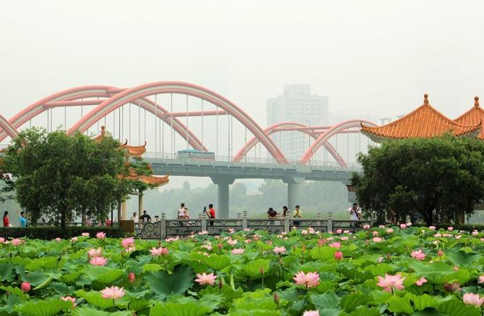 深圳藏在闹市的公园，被称为深圳最美湖泊公园，还免费