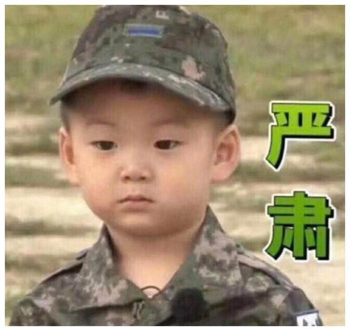 宋家三胞胎长大了，回不去的表情包系列