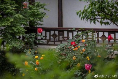 ​私藏在南京老门东的芥子园，你了解多少