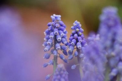 描写两人相遇的句子115句