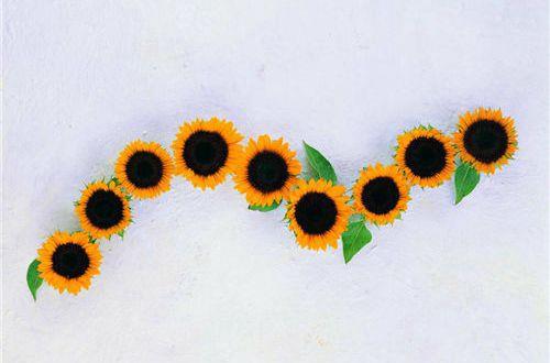 简洁的哲理的句子集锦55条