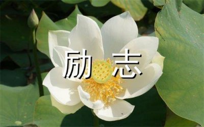 ​暗含爱意的句子