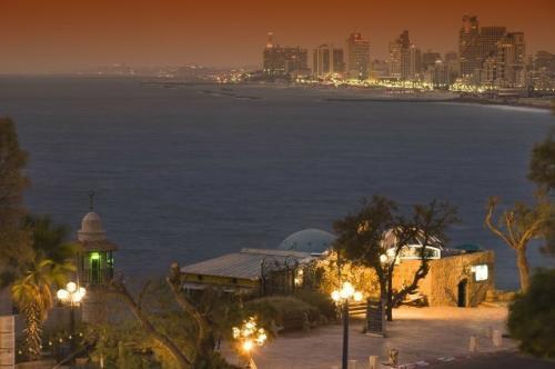 写树优美句子摘录80条