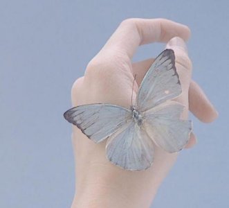 ​纪念918事变九十周年文案句子(精选87句)