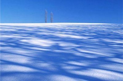 ​描写习惯的句子80句