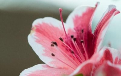 ​2025年正能量的句子大全(精选80句)