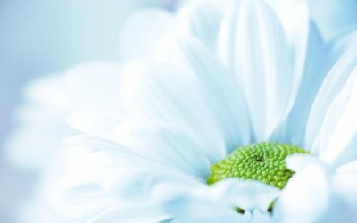 ​面对挫折的励志句子