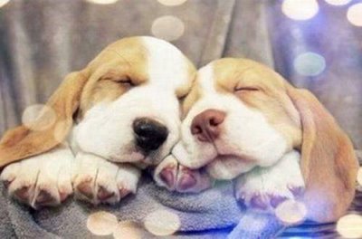 ​2025妇女节祝福语走心句子(精选94句)