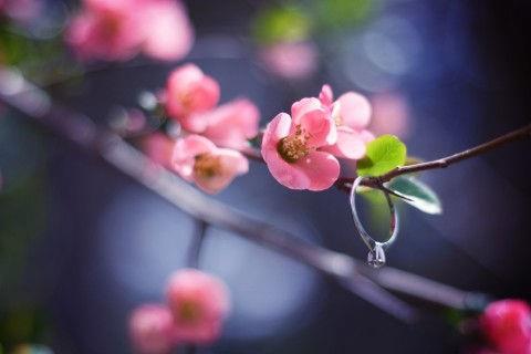 【必备】2025年哲理的句子合集56条