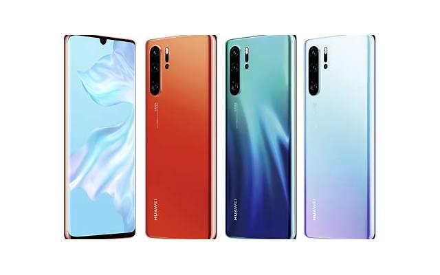 描写樱花盛开的优美句子精选30句 描写樱花盛开的优美句子精选30句