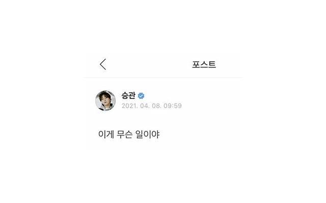 最新关于下雪的唯美句子摘抄 最新关于下雪的唯美句子摘抄