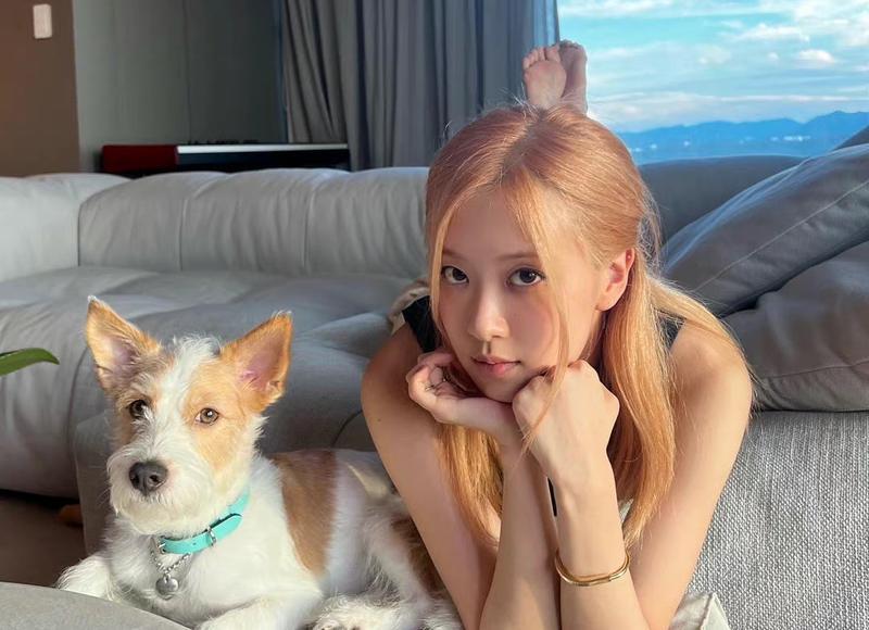 关于两个人感情的说说句子 关于两个人感情的说说句子