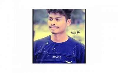 ​赞美小猫的句子短句摘录80条