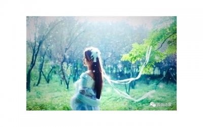 ​有关春天的诗和句子精选399句