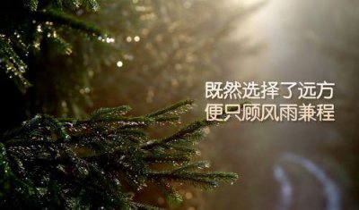 ​爱国和思乡的诗句103句