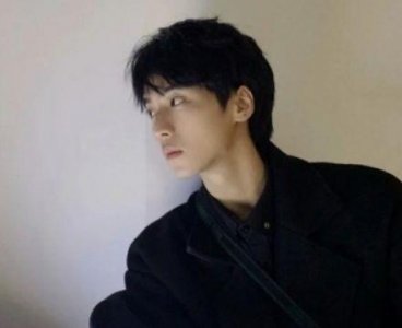 ​表达爱国之情诗句60句