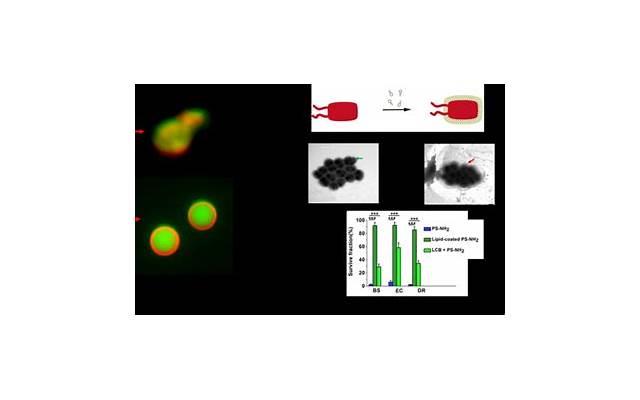 表示倒霉的句子简短细选80句 表示倒霉的句子简短细选80句