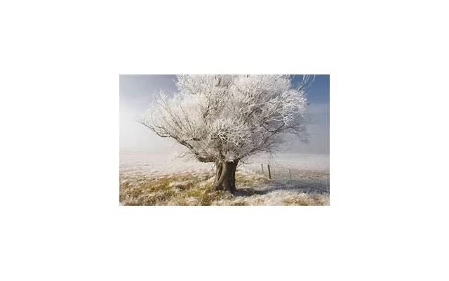 带有风景心情的短语短句总汇76条 带有风景心情的短语短句总汇76条