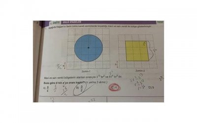 ​感慨岁月不饶人的变老的句子精选9句