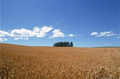 ​简单励志正能量的句子