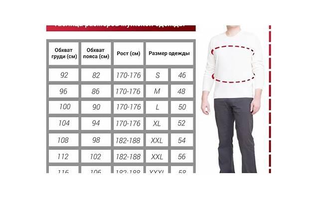 表达小朋友友谊的暖心短句汇合50条 表达小朋友友谊的暖心短句汇合50条