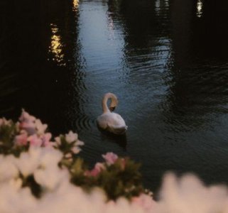 ​晚安语录致自己正能量语句合集38句